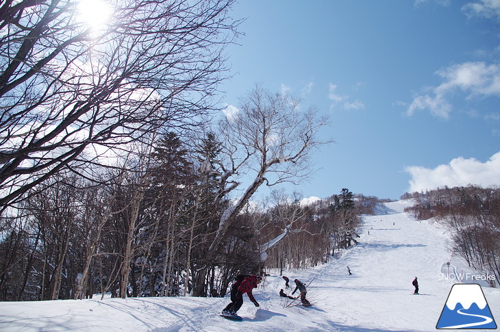 札幌国際スキー場 Welcome back POWDER SNOW !! ～パウダースノー復活～